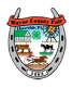 Wayne County Fair